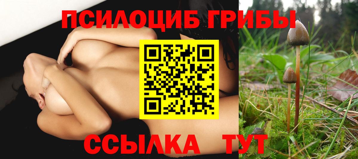 Псилоцибиновые грибы Magic Shrooms Крымск